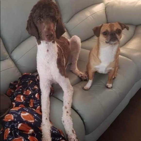 Me - Picture 11 of 17